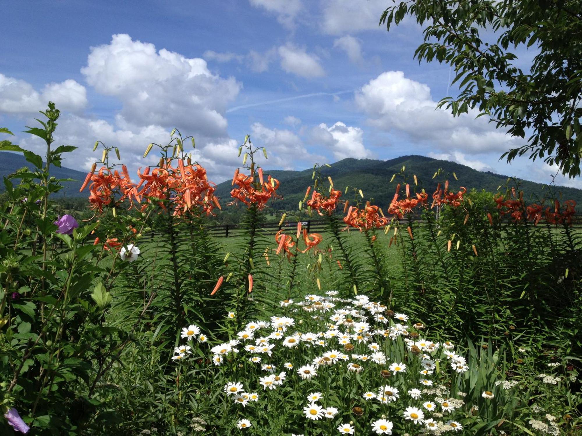 Montfair Resort Farm Crozet Esterno foto
