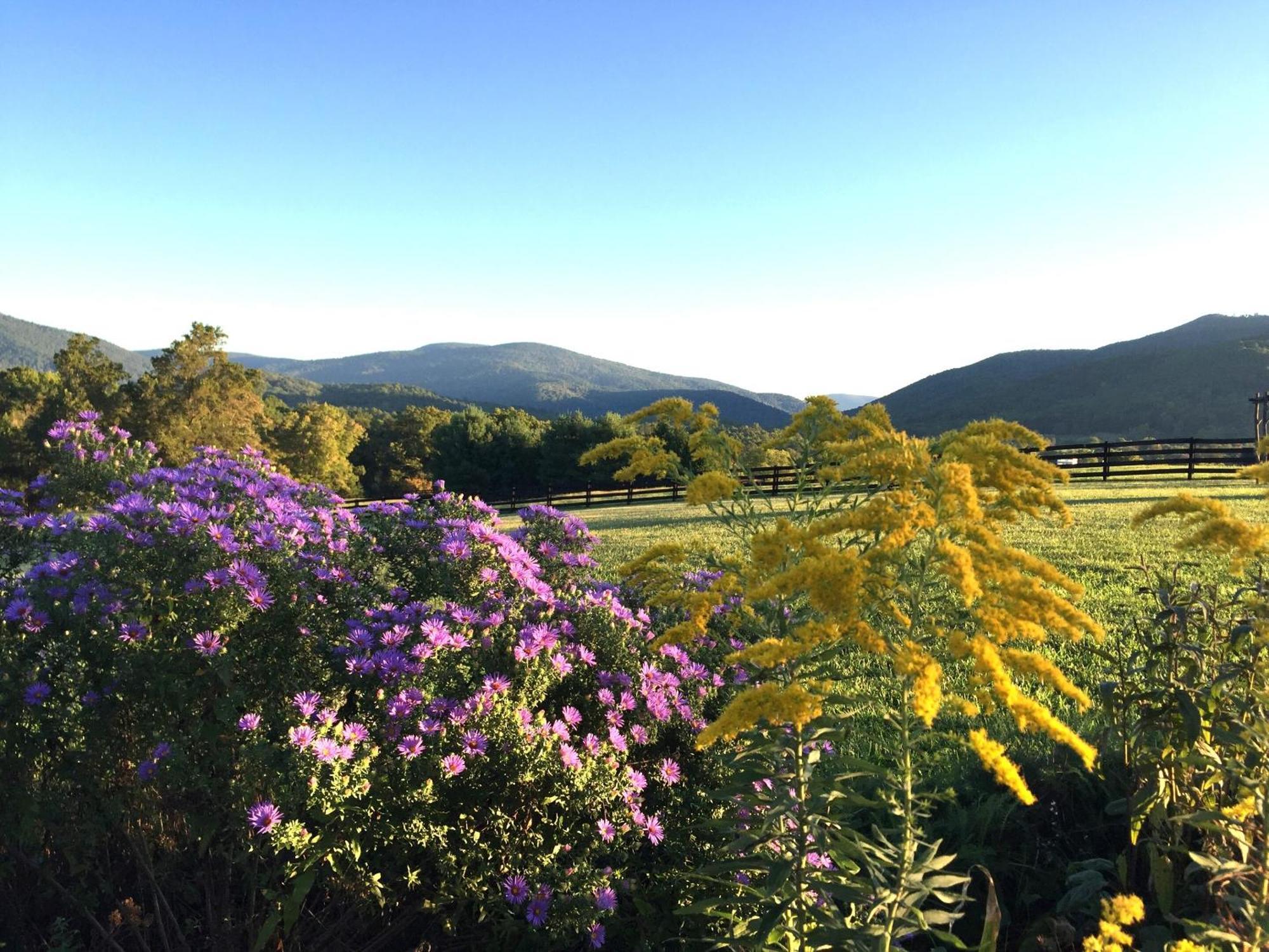 Montfair Resort Farm Crozet Camera foto