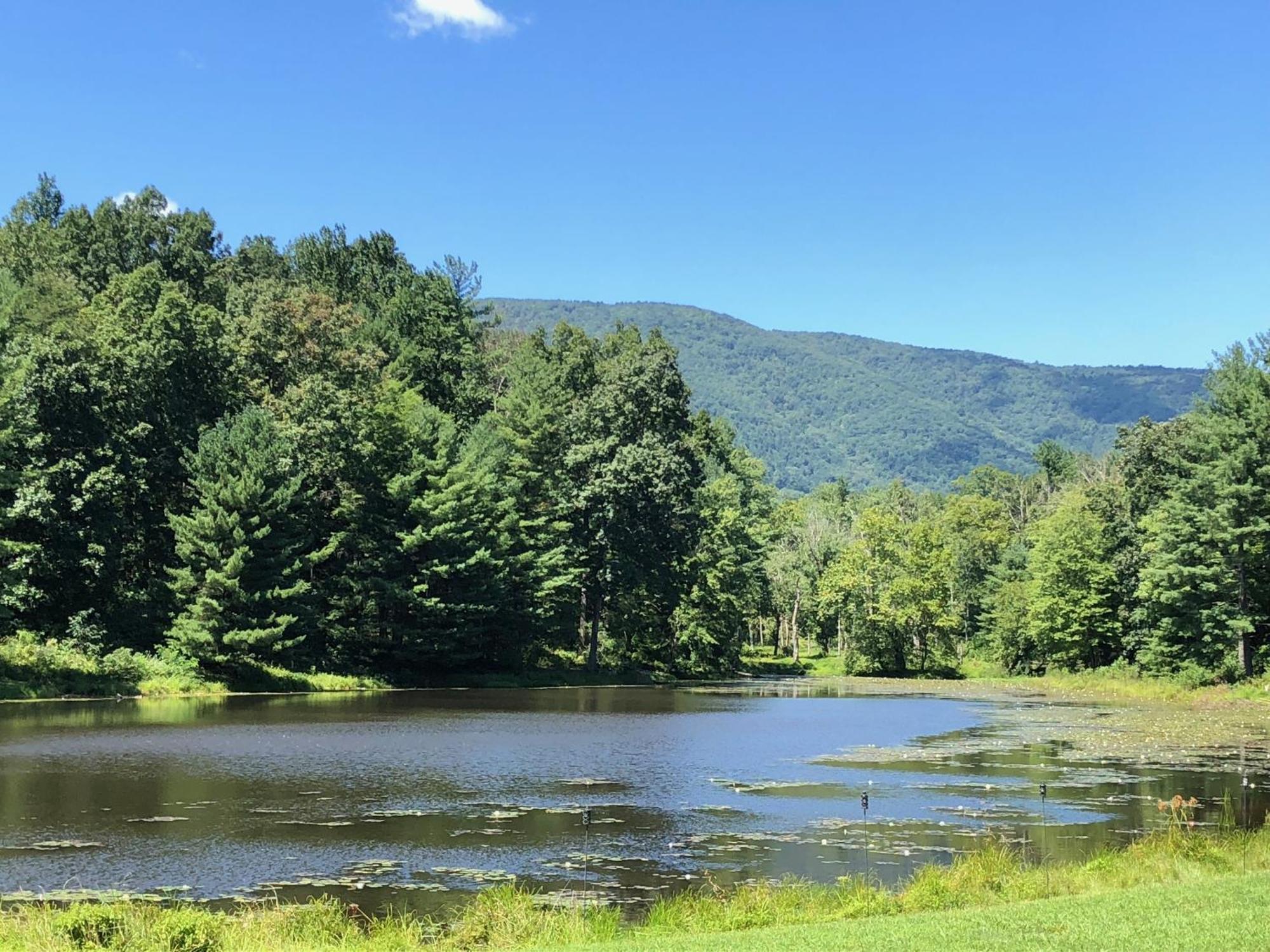 Montfair Resort Farm Crozet Camera foto
