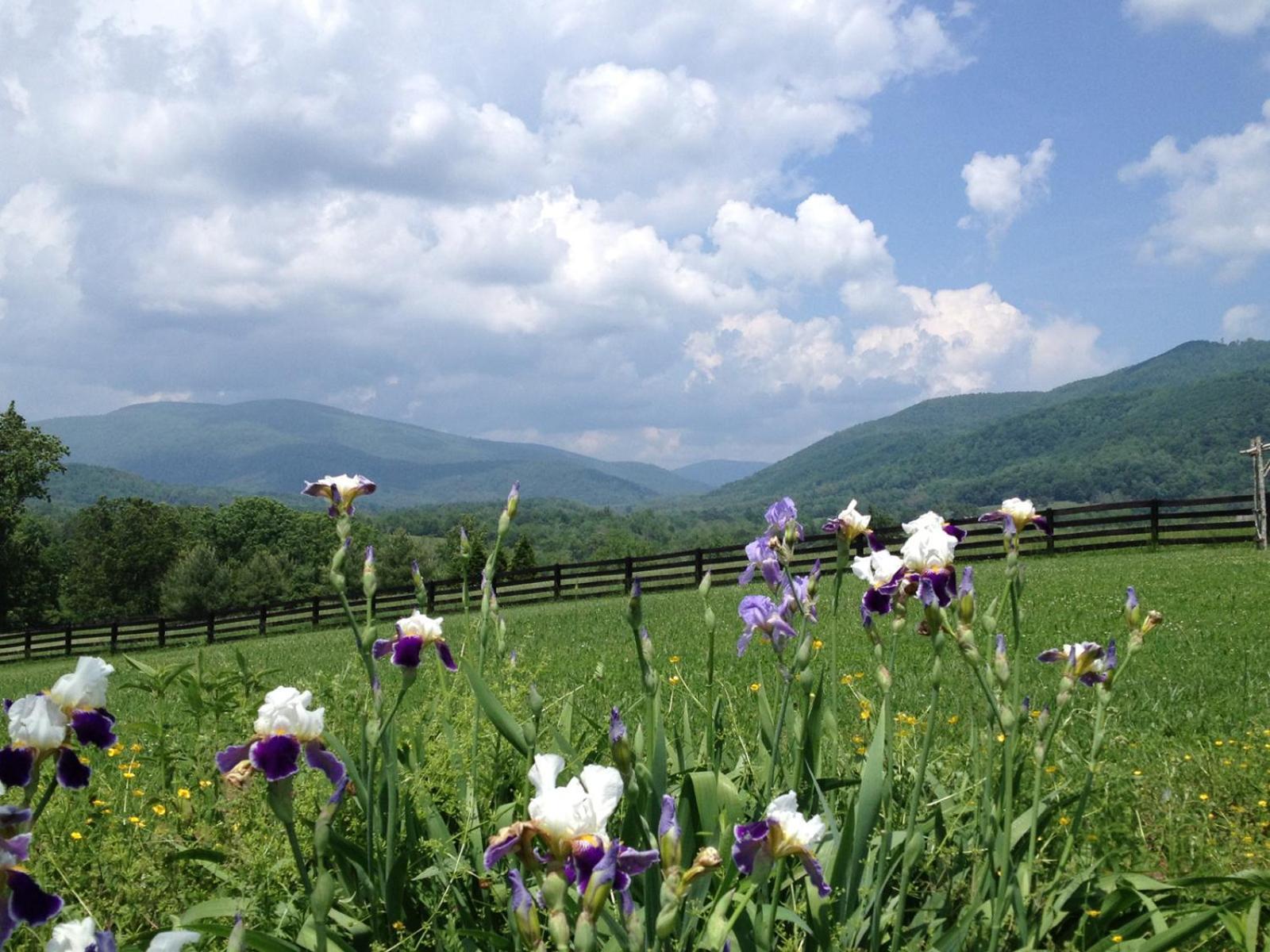 Montfair Resort Farm Crozet Camera foto