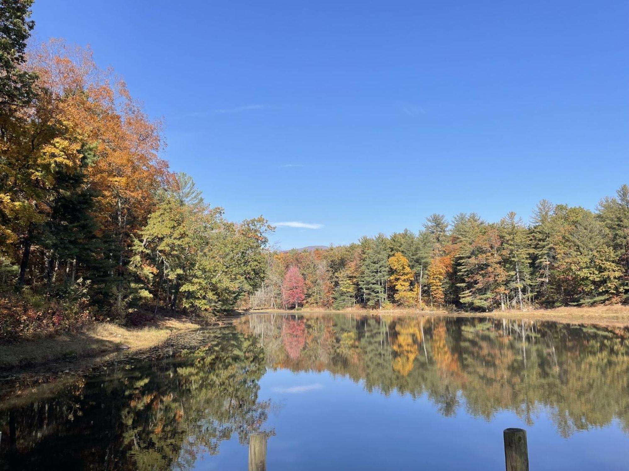 Montfair Resort Farm Crozet Esterno foto